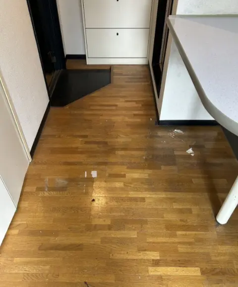 清掃後：ゴミが片付いて床が見える綺麗な部屋