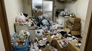 ゴミ屋敷や汚部屋で発生する虫の種類（ゴキブリ・チャタテムシ・ウジ虫・ノミなど）と健康被害・近隣への拡散リスクをわかりやすく整理。自力対処の限界ラインとプロへの依頼タイミング、清掃後の再発防止策まで、現場知見をもとに解説しています。