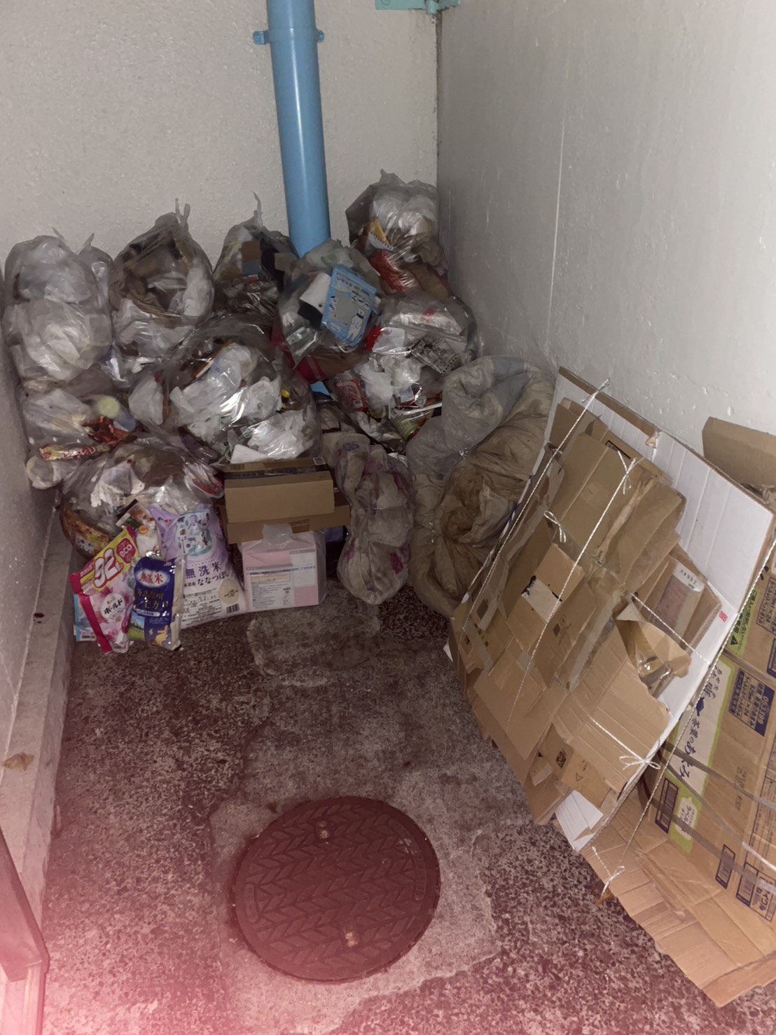 3DKのゴミ屋敷片付け実績 千葉県 八街市 中心部 アパート_片付け前_36987