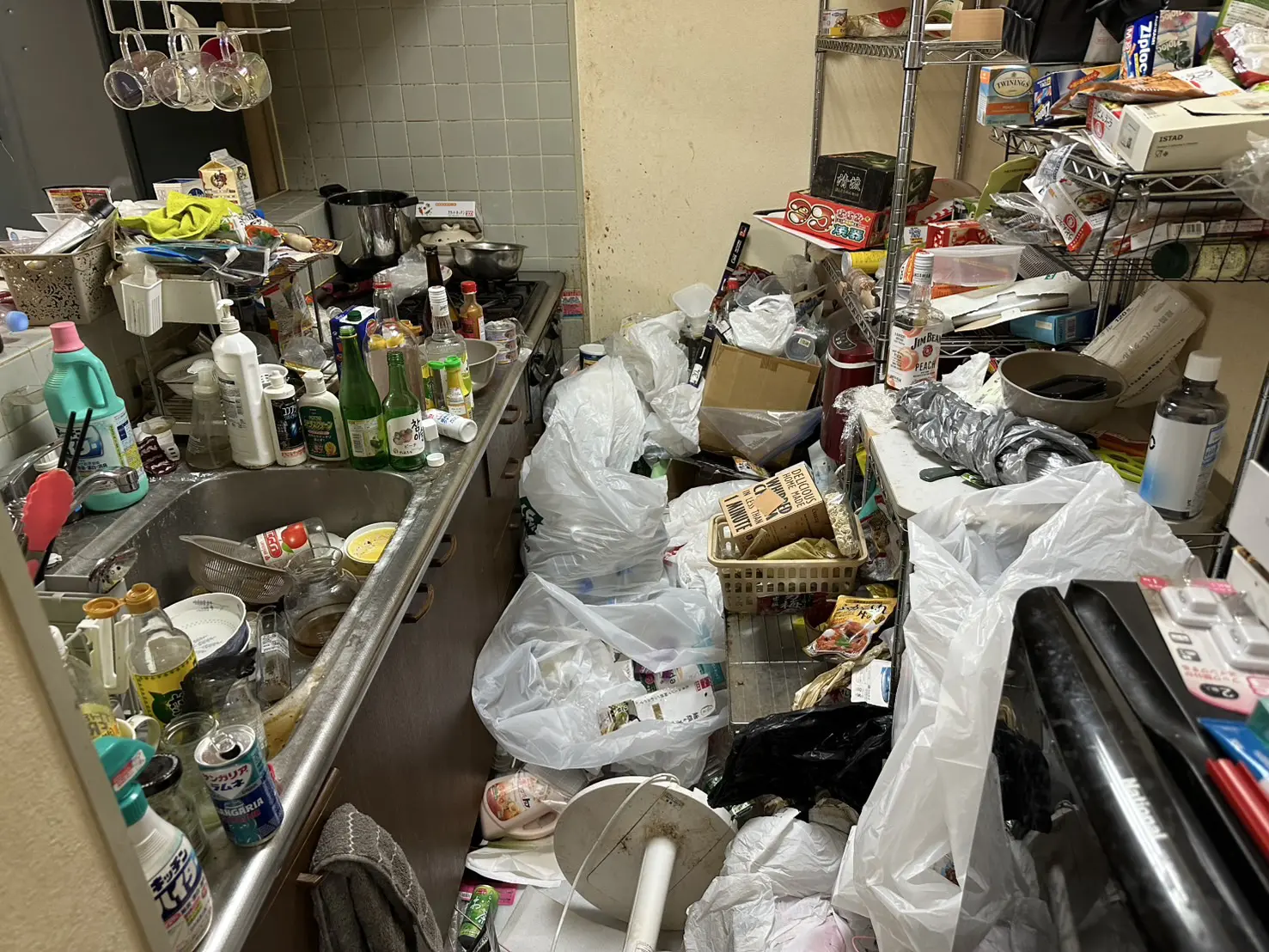 4LDK〜のゴミ屋敷片付け実績 愛知県 名古屋市瑞穂区 駅前 マンション_片付け前_36227